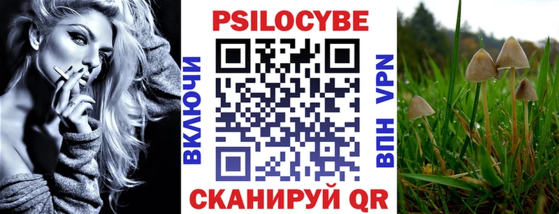 Купить  Николаевск  Галлюциногенные грибы Psilocybe 